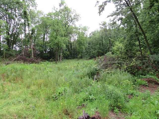 23786 Pokagon Hwy, Cassopolis, MI 49031 - view of wooded area