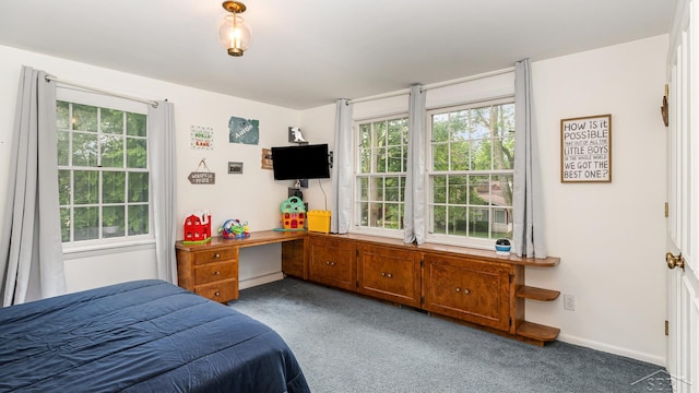 4561 Ashland Dr, Saginaw, MI 48638 - bedroom with carpet flooring