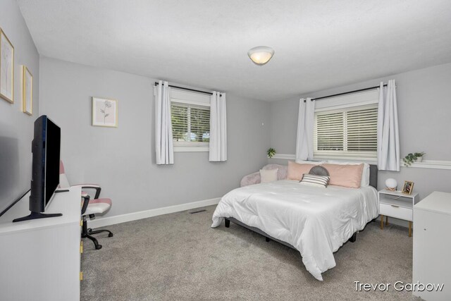 6770 Rivers Edge Ln, Middleville, MI 49333 - carpeted bedroom with baseboards