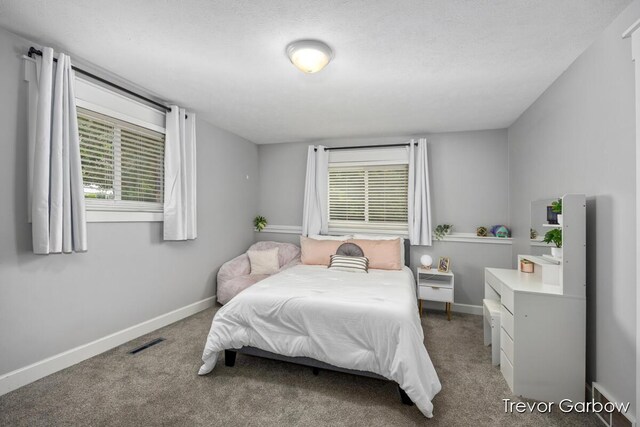 6770 Rivers Edge Ln, Middleville, MI 49333 - carpeted bedroom with multiple windows