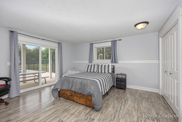 6770 Rivers Edge Ln, Middleville, MI 49333 - bedroom with access to exterior, wood finished floors, and a closet