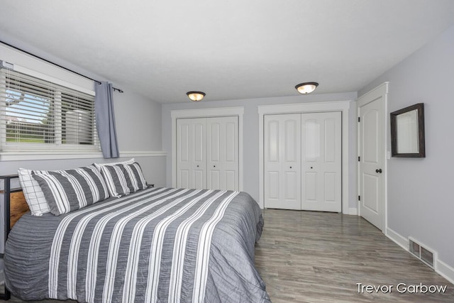 6770 Rivers Edge Ln, Middleville, MI 49333 - bedroom with multiple closets and wood finished floors