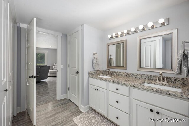 6770 Rivers Edge Ln, Middleville, MI 49333 - bathroom featuring double vanity, wood finished floors, and connected bathroom