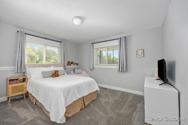 6770 Rivers Edge Ln, Middleville, MI 49333 - bedroom with multiple windows and carpet floors