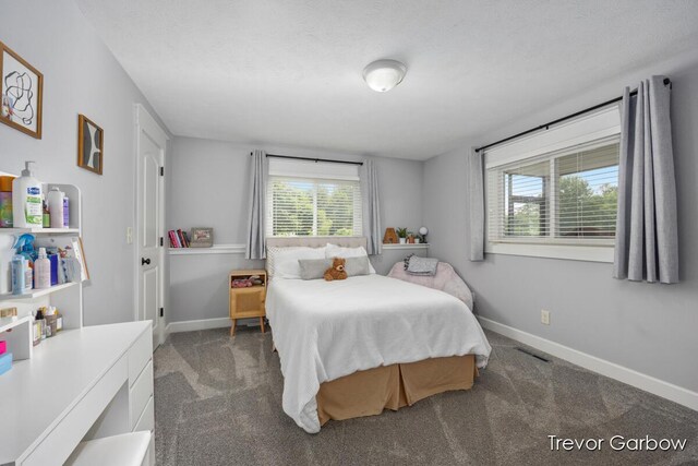 6770 Rivers Edge Ln, Middleville, MI 49333 - bedroom featuring multiple windows and carpet