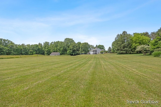 6770 Rivers Edge Ln, Middleville, MI 49333 - view of green lawn