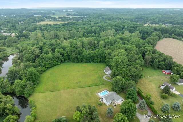 6770 Rivers Edge Ln, Middleville, MI 49333 - overview of rural landscape with a large body of water and a forest
