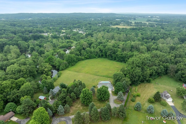 6770 Rivers Edge Ln, Middleville, MI 49333 - aerial view of property's location featuring rural landscape