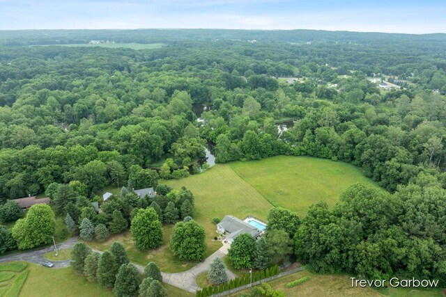6770 Rivers Edge Ln, Middleville, MI 49333 - drone / aerial view of a forest