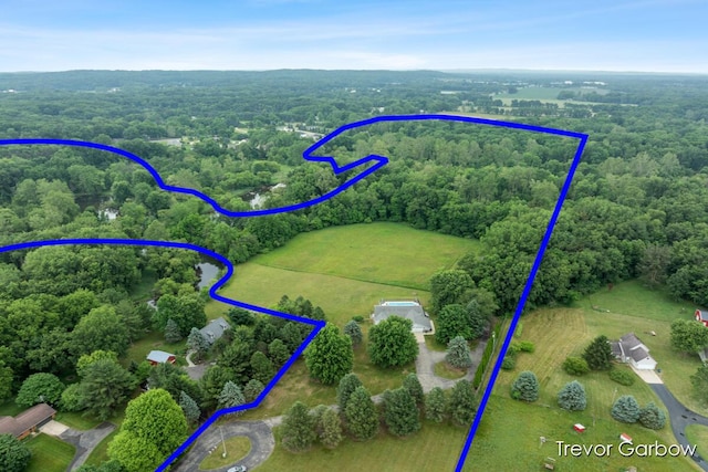 6770 Rivers Edge Ln, Middleville, MI 49333 - aerial view of property and surrounding area with property parcel outlined