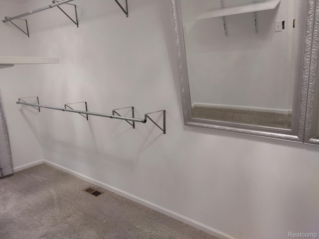 8993 Haymarket St, White Lake, MI 48386 - spacious closet with carpet flooring