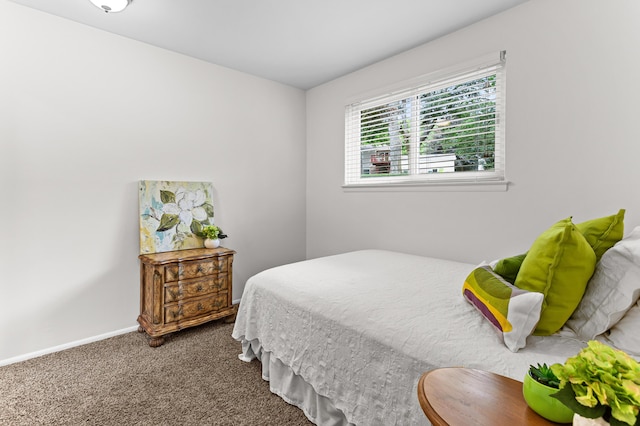 525 Langfield St, Northville, MI 48167 - carpeted bedroom featuring baseboards