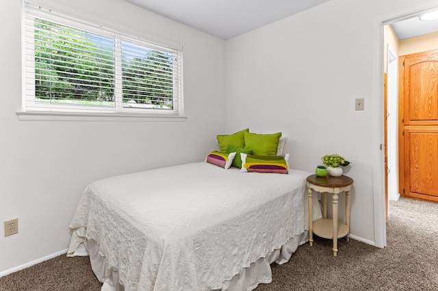 525 Langfield St, Northville, MI 48167 - carpeted bedroom featuring baseboards