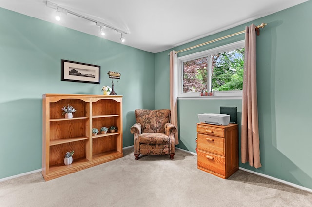 525 Langfield St, Northville, MI 48167 - living area featuring rail lighting and carpet flooring
