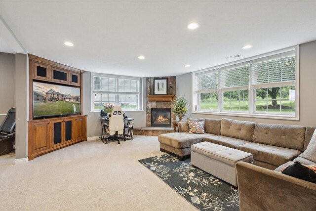 3539 Wildgrass Ln, Galesburg, MI 49053 - photo 27