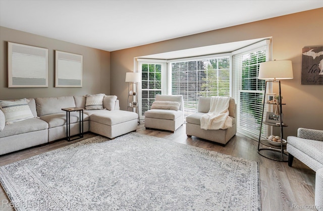 1106 Kings Cove Dr Unit 355, Rochester, MI 48306 - living area featuring plenty of natural light and wood finished floors