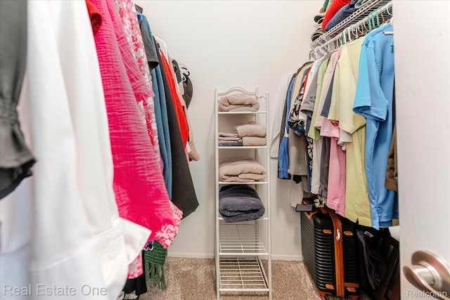 1106 Kings Cove Dr Unit 355, Rochester, MI 48306 - walk in closet featuring carpet flooring