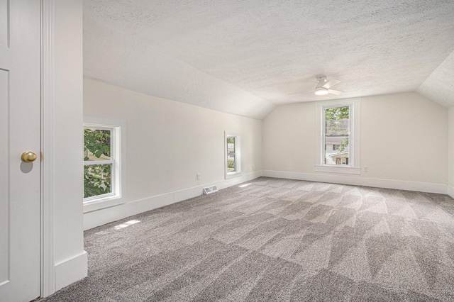 556 Union St, Niles, MI 49120 - additional living space featuring lofted ceiling, a textured ceiling, carpet, and a ceiling fan