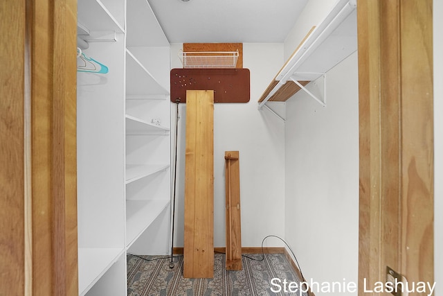169 S Linda St NE, Cedar Springs, MI 49319 - view of walk in closet