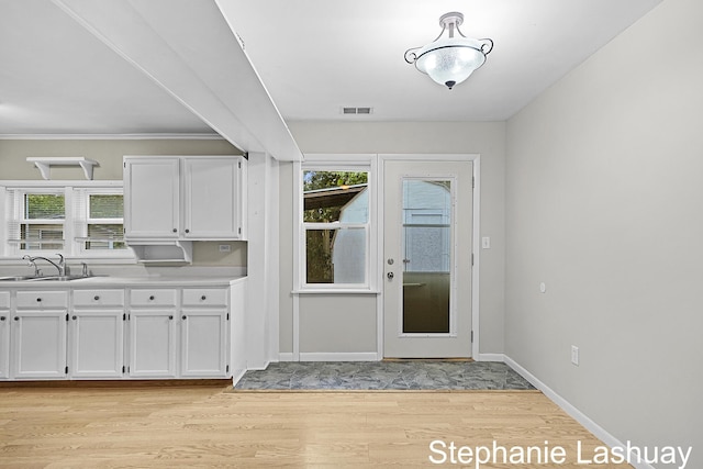169 S Linda St NE, Cedar Springs, MI 49319 - entryway featuring light wood-style flooring and healthy amount of natural light