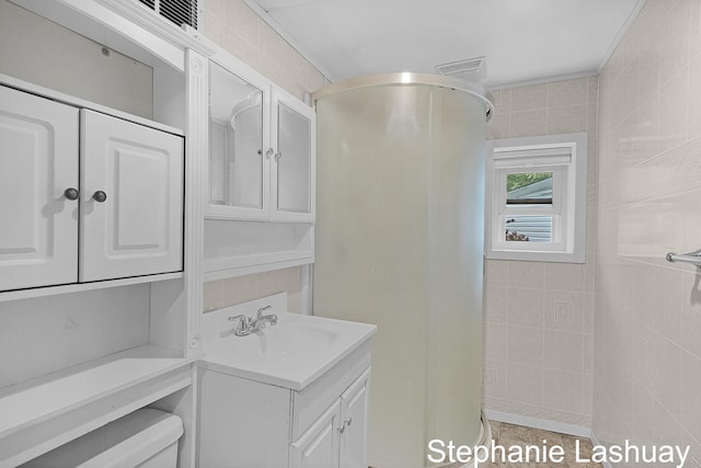 169 S Linda St NE, Cedar Springs, MI 49319 - full bath featuring a walk in shower and vanity