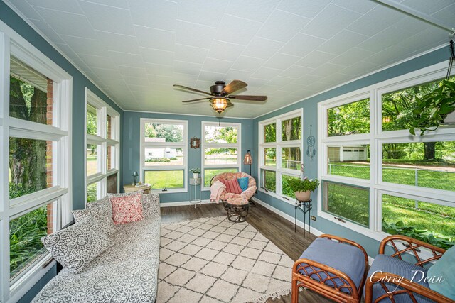 1555 W Ellis Ave, Belding, MI 48809 - photo 30