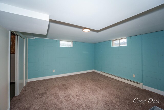 1555 W Ellis Ave, Belding, MI 48809 - photo 39