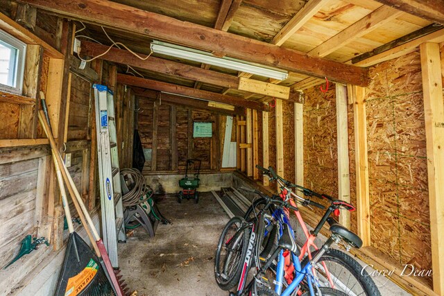 1555 W Ellis Ave, Belding, MI 48809 - photo 47
