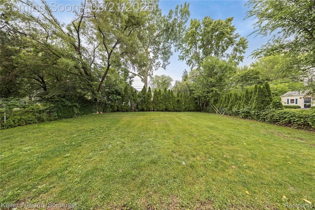 3123 W Utica Rd, Shelby Twp, MI 48317 - view of green lawn