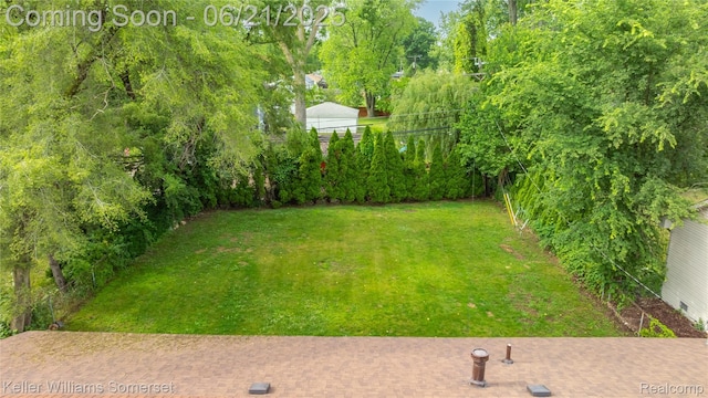 3123 W Utica Rd, Shelby Twp, MI 48317 - view of green lawn