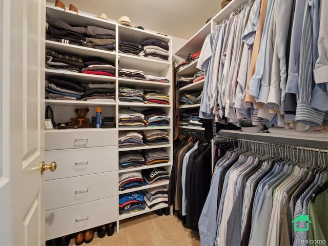 6345 Brookview Dr, Saline, MI 48176 - walk in closet featuring carpet flooring