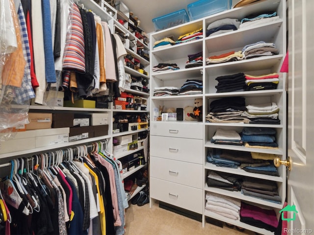 6345 Brookview Dr, Saline, MI 48176 - spacious closet featuring carpet floors