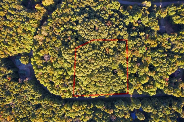 V/L Forestgrove Drive, Elmira, MI 49730