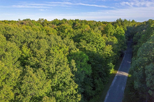 V/L Forestgrove Drive, Elmira, MI 49730