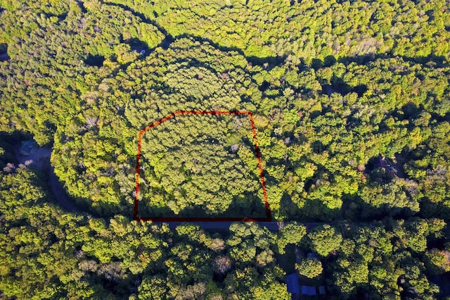 V/L Forestgrove Drive, Elmira, MI 49730