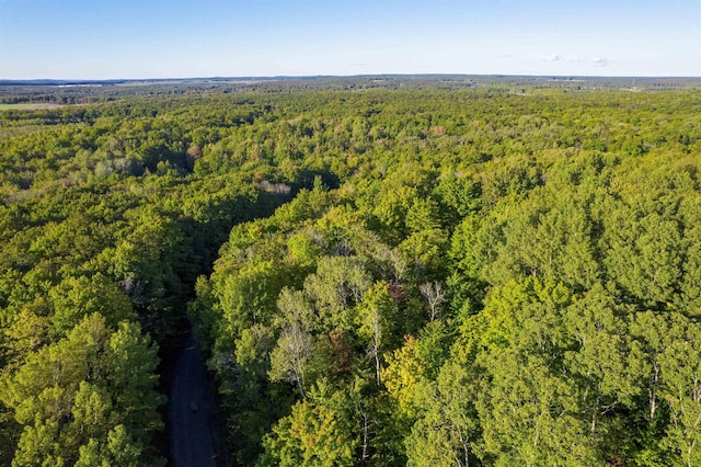 V/L Forestgrove Drive, Elmira, MI 49730