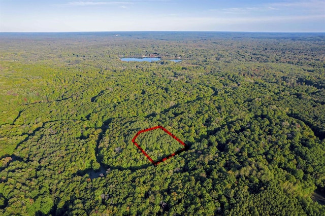 V/L Forestgrove Drive, Elmira, MI 49730