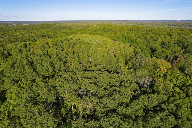 V/L Forestgrove Drive, Elmira, MI 49730