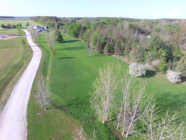 0 Dot St, Croswell, MI 48422 - photo 1