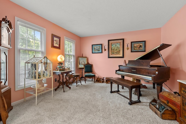 220 Deer Path Ln, Battle Creek, MI 49015 - sitting room featuring carpet and a textured ceiling
