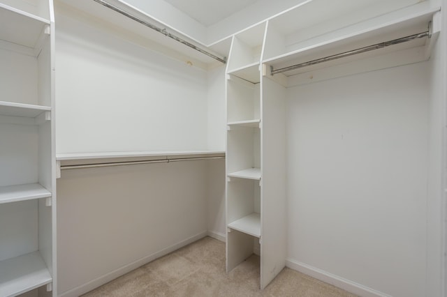 220 Deer Path Ln, Battle Creek, MI 49015 - walk in closet featuring light carpet