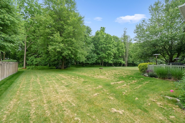 220 Deer Path Ln, Battle Creek, MI 49015 - view of yard