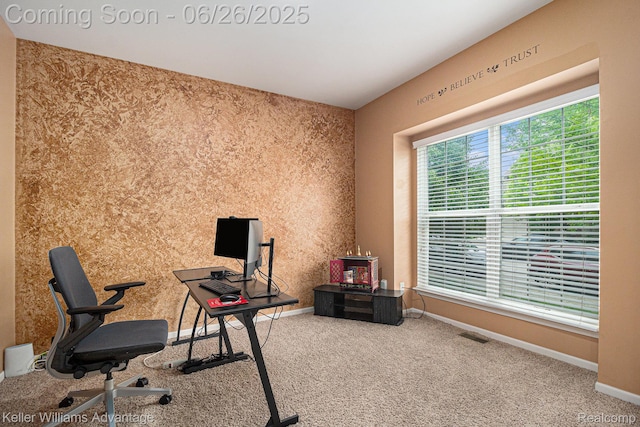 27455 Harrington Way, Novi, MI 48374 - carpeted home office with baseboards