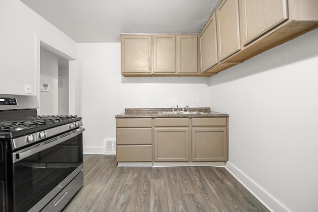 470 Fildew Ave, Pontiac, MI 48341 - kitchen featuring stainless steel gas range, dark wood-style floors, and light brown cabinetry
