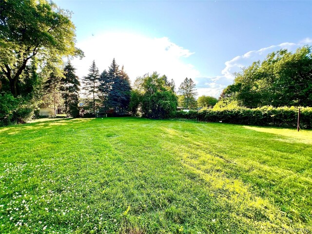 23657 Hill Ave, Warren, MI 48091 - view of grassy yard