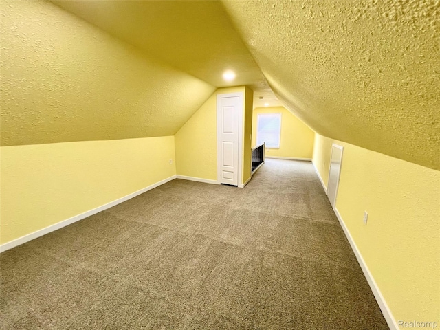 23657 Hill Ave, Warren, MI 48091 - additional living space with a textured ceiling, carpet, and vaulted ceiling