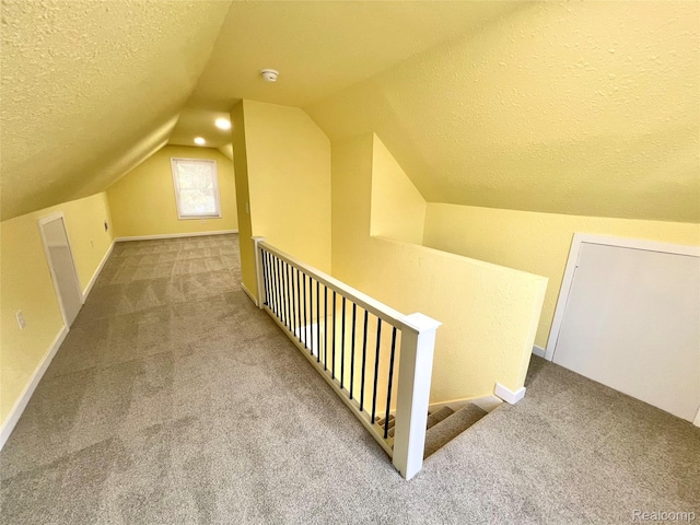 23657 Hill Ave, Warren, MI 48091 - additional living space featuring carpet floors, a textured ceiling, and lofted ceiling
