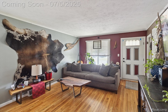 8025 Mayfair St, Taylor, MI 48180 - living area featuring light wood-type flooring, ornamental molding, and a textured ceiling