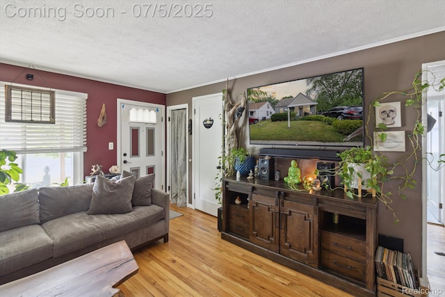 8025 Mayfair St, Taylor, MI 48180 - living room featuring a textured ceiling, light wood-style flooring, and crown molding