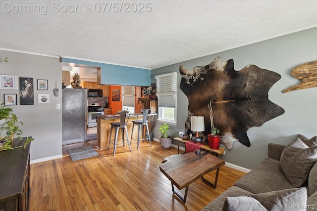 8025 Mayfair St, Taylor, MI 48180 - living area with crown molding, light wood-style flooring, and a textured ceiling